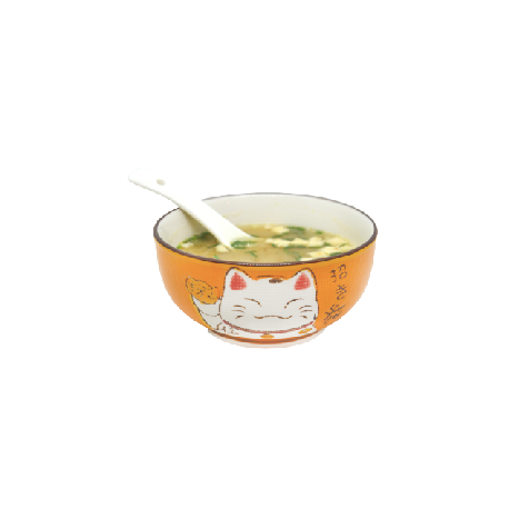 Soupe Miso